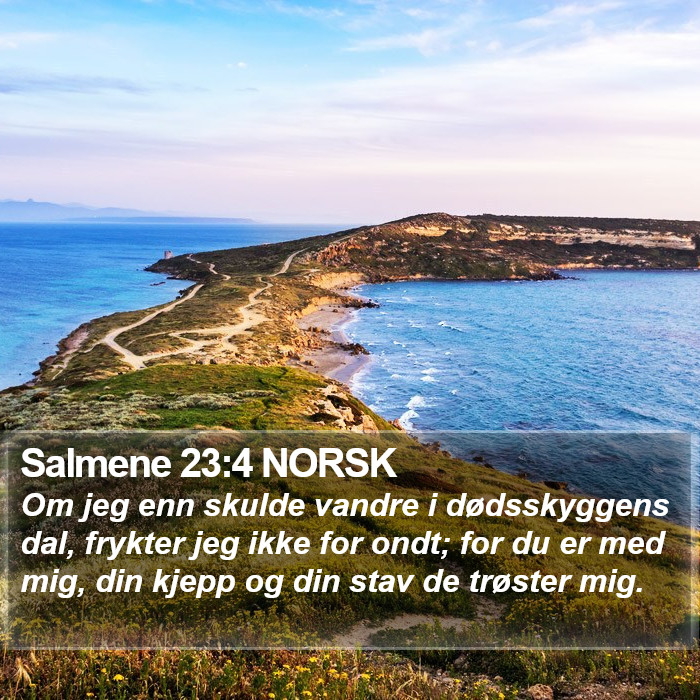 Salmene 23:4 NORSK Bible Study