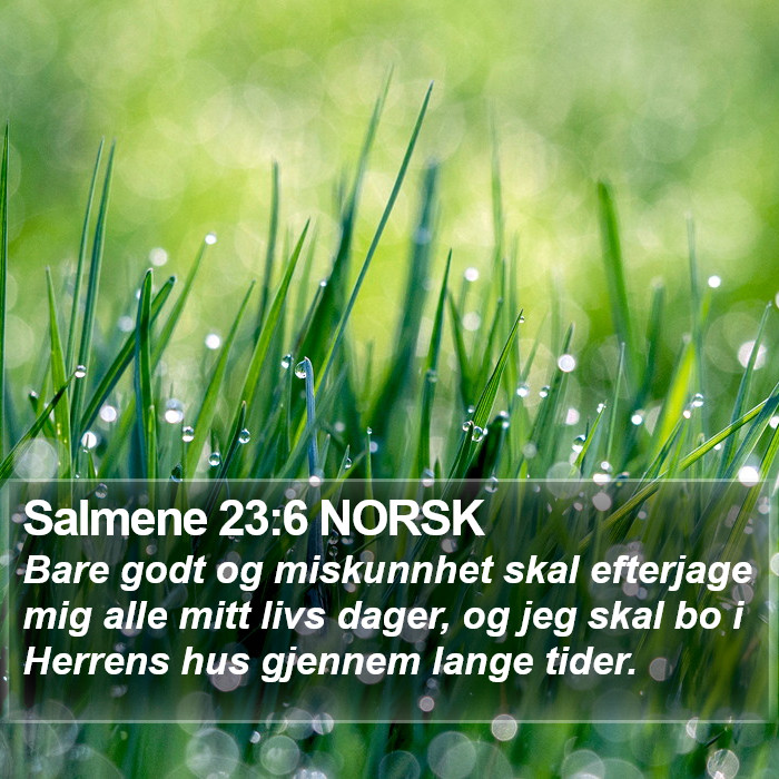 Salmene 23:6 NORSK Bible Study