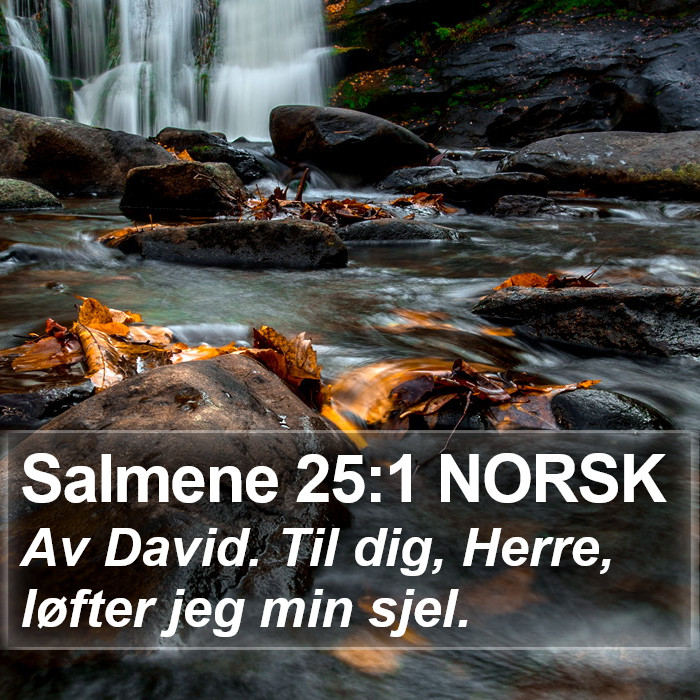 Salmene 25:1 NORSK Bible Study