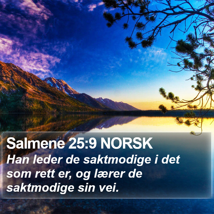 Salmene 25:9 NORSK Bible Study