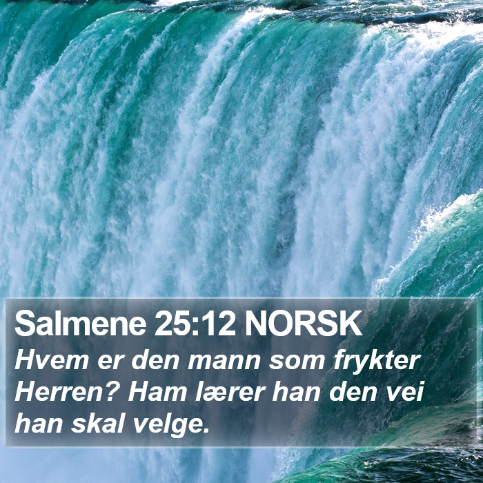 Salmene 25:12 NORSK Bible Study