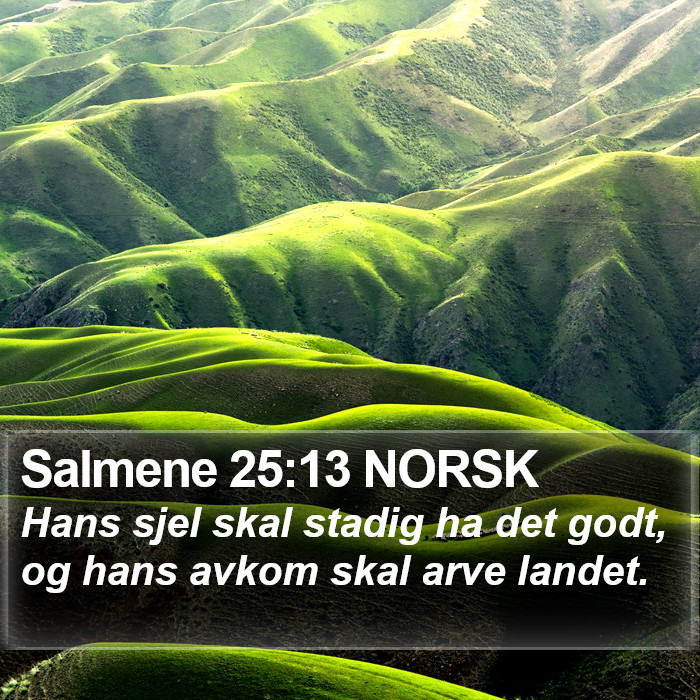 Salmene 25:13 NORSK Bible Study