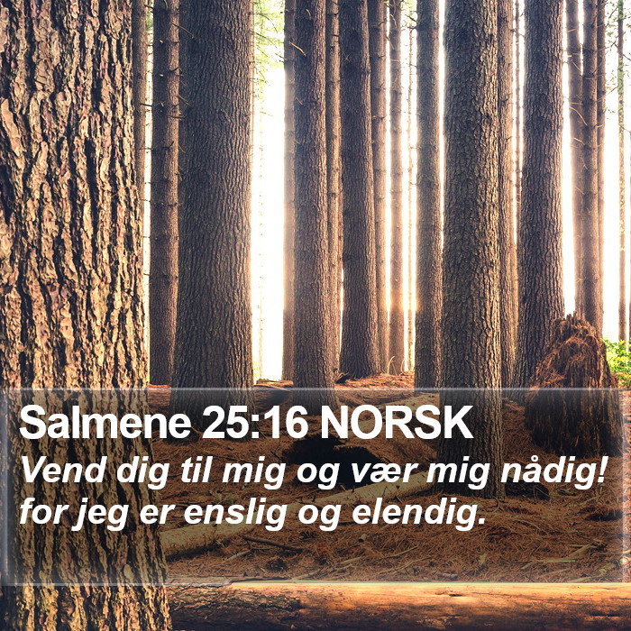 Salmene 25:16 NORSK Bible Study