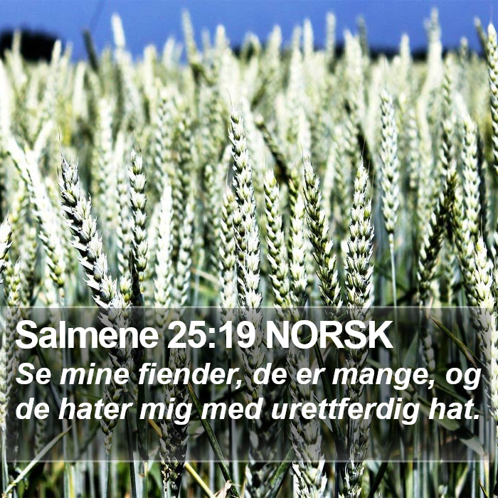 Salmene 25:19 NORSK Bible Study