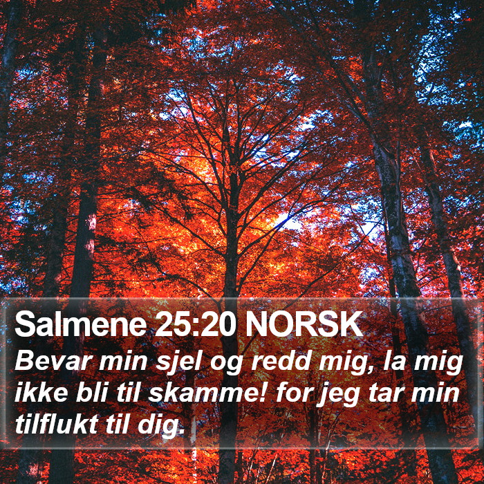 Salmene 25:20 NORSK Bible Study