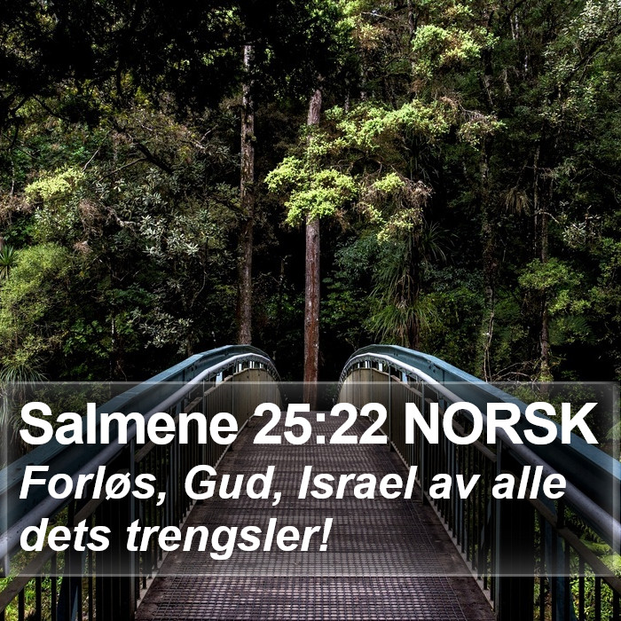 Salmene 25:22 NORSK Bible Study