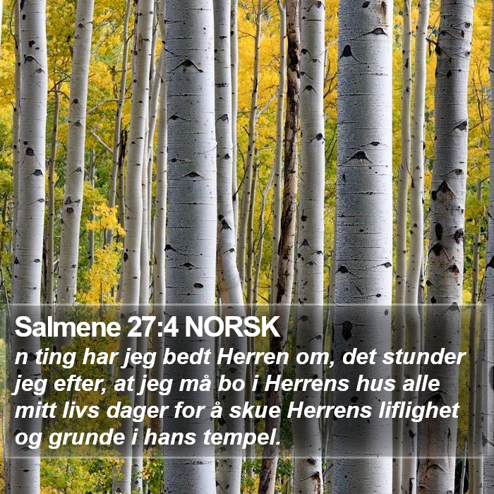 Salmene 27:4 NORSK Bible Study