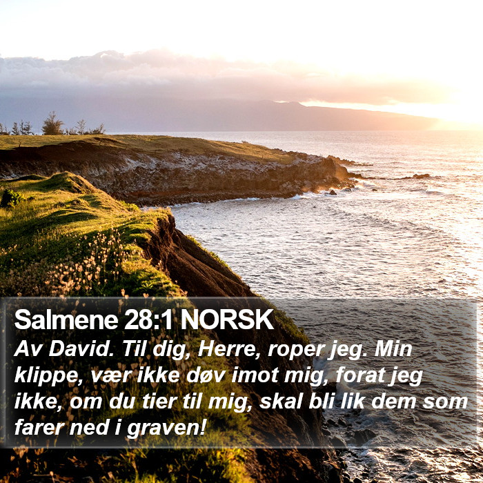 Salmene 28:1 NORSK Bible Study