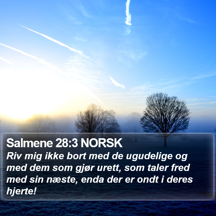 Salmene 28:3 NORSK Bible Study