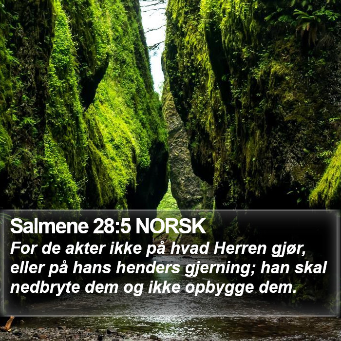 Salmene 28:5 NORSK Bible Study