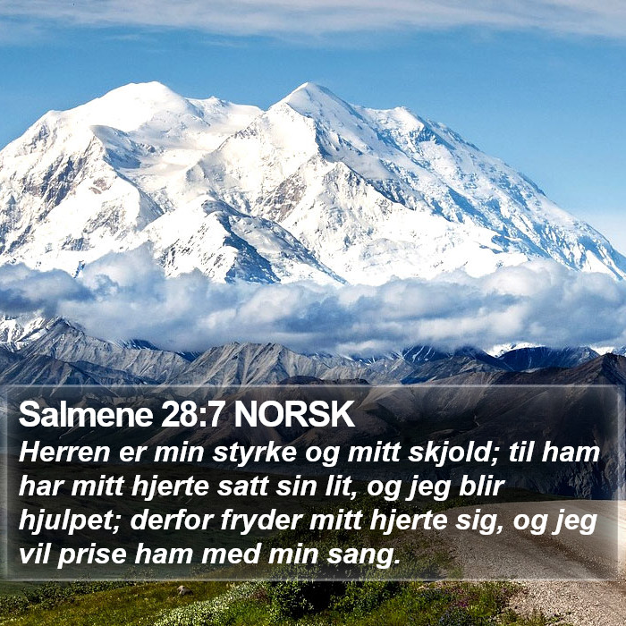 Salmene 28:7 NORSK Bible Study