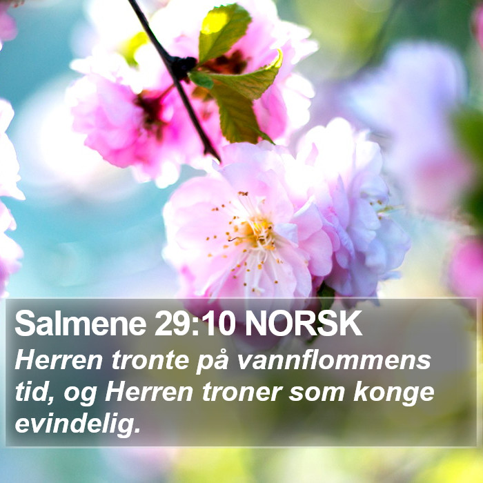 Salmene 29:10 NORSK Bible Study