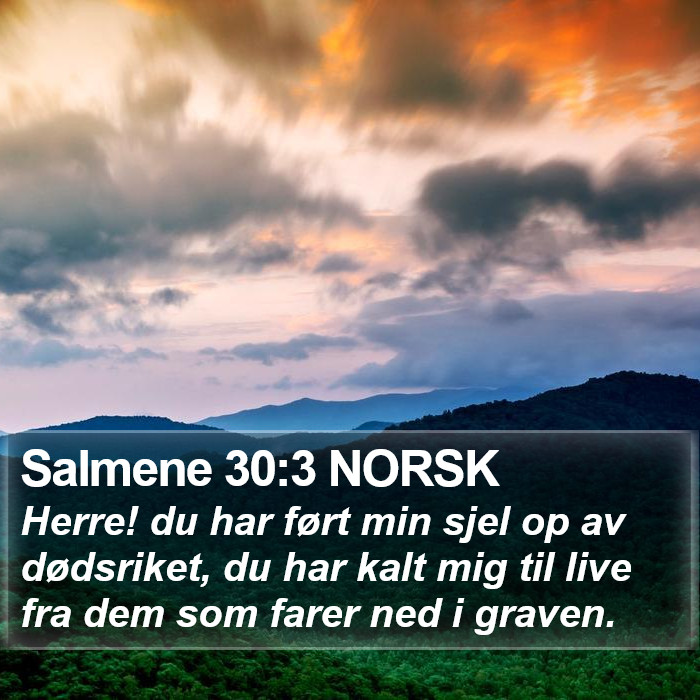 Salmene 30:3 NORSK Bible Study