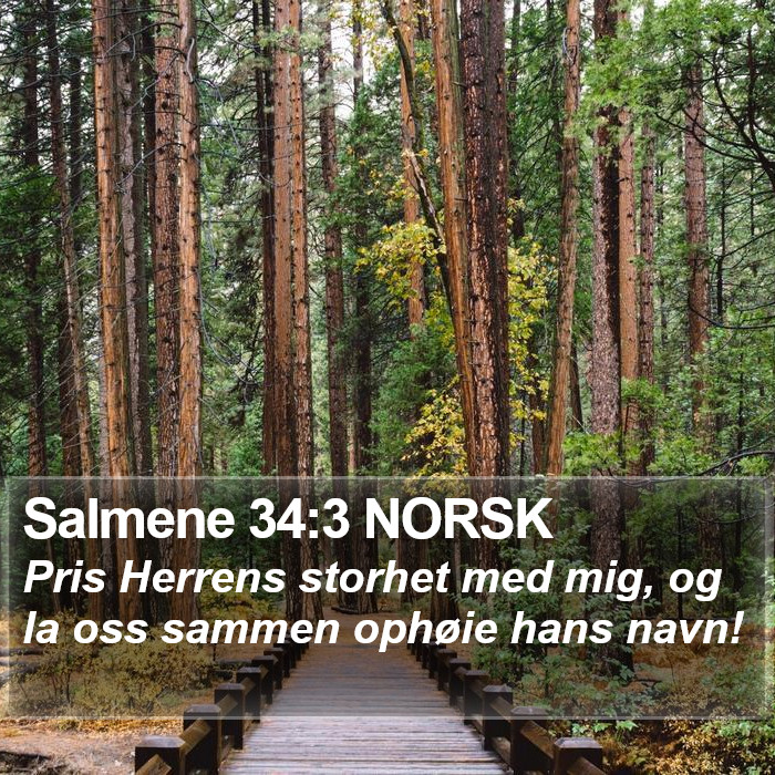 Salmene 34:3 NORSK Bible Study
