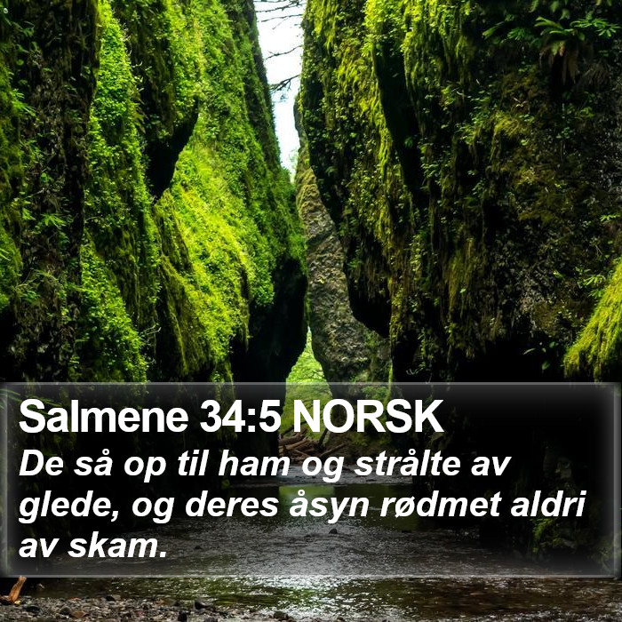 Salmene 34:5 NORSK Bible Study