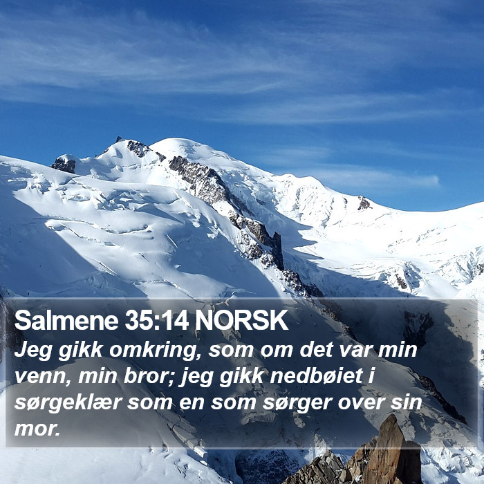 Salmene 35:14 NORSK Bible Study