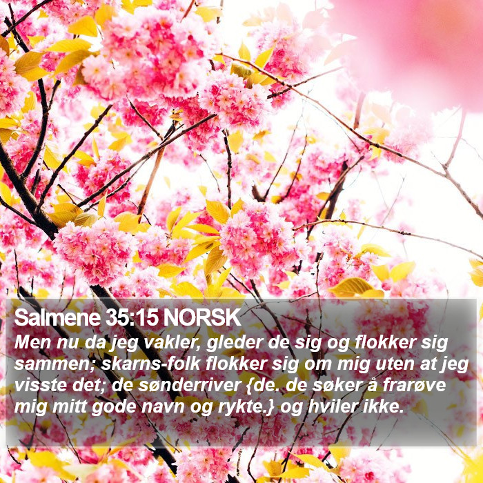 Salmene 35:15 NORSK Bible Study