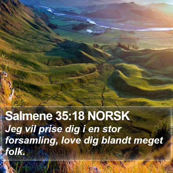Salmene 35:18 NORSK Bible Study