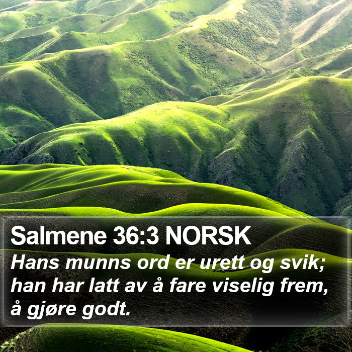 Salmene 36:3 NORSK Bible Study