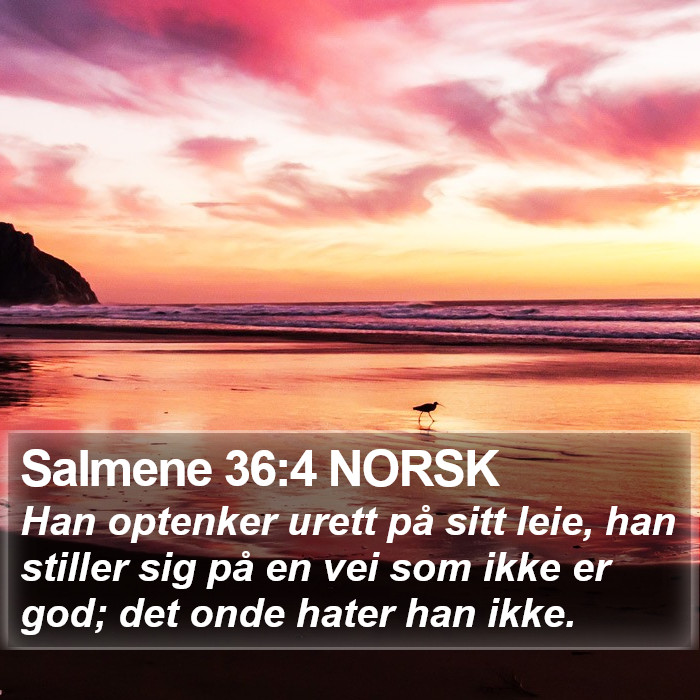 Salmene 36:4 NORSK Bible Study
