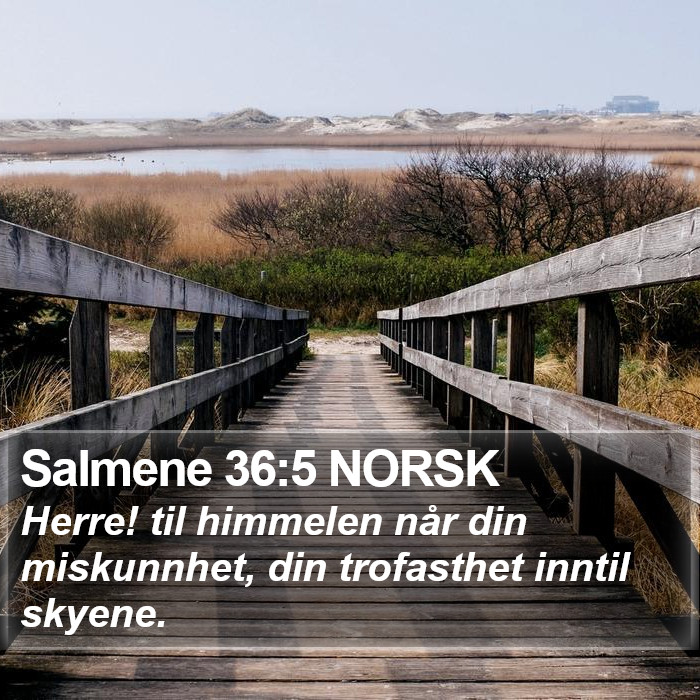 Salmene 36:5 NORSK Bible Study