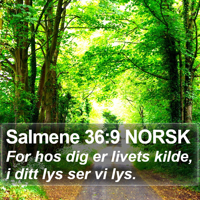Salmene 36:9 NORSK Bible Study