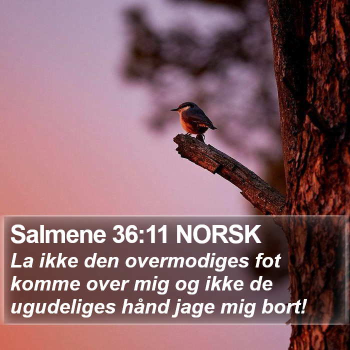 Salmene 36:11 NORSK Bible Study