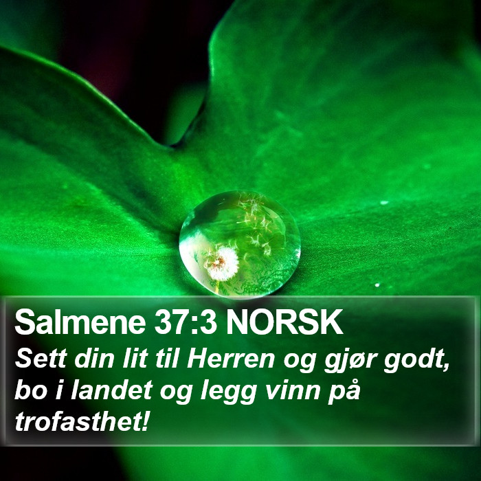 Salmene 37:3 NORSK Bible Study