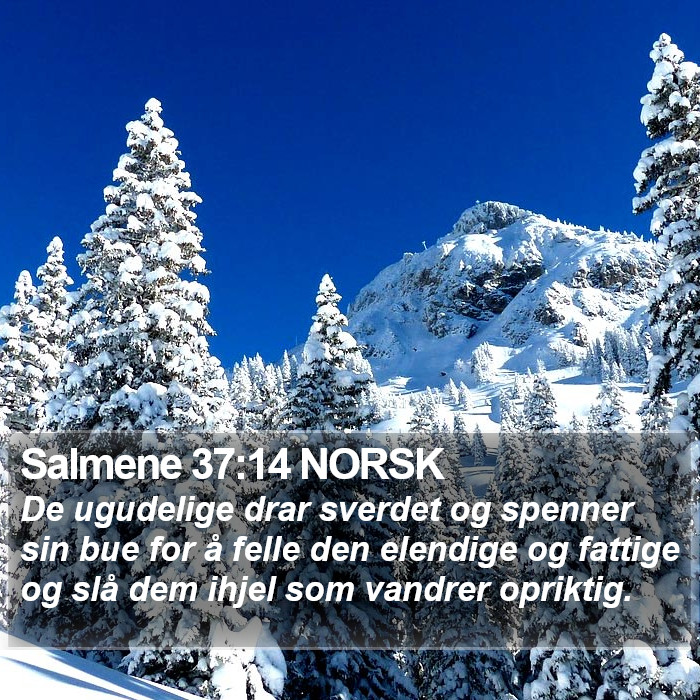 Salmene 37:14 NORSK Bible Study