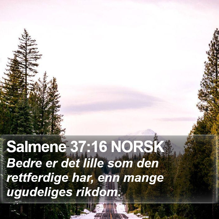 Salmene 37:16 NORSK Bible Study