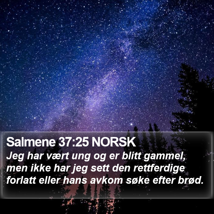 Salmene 37:25 NORSK Bible Study