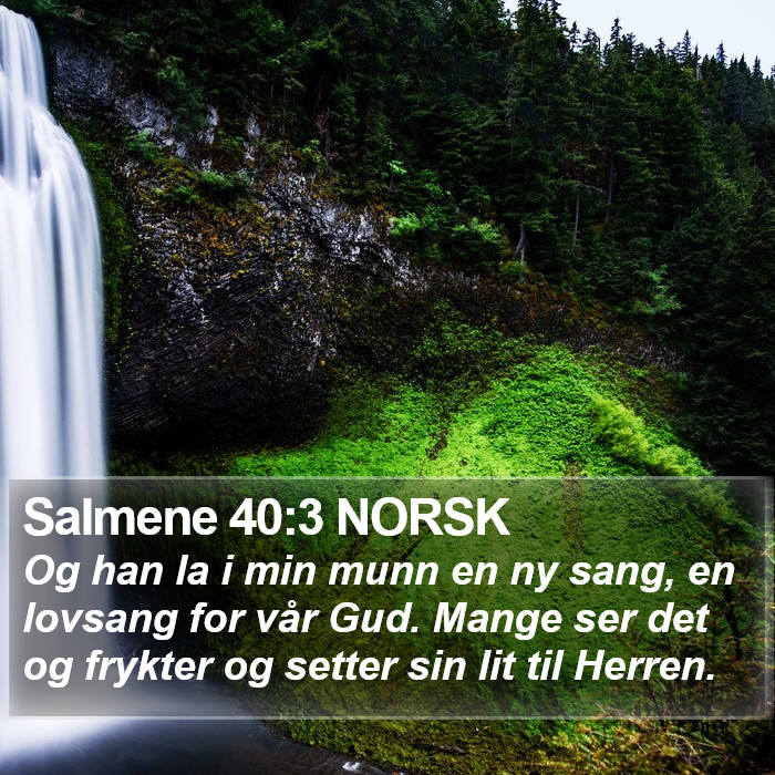 Salmene 40:3 NORSK Bible Study