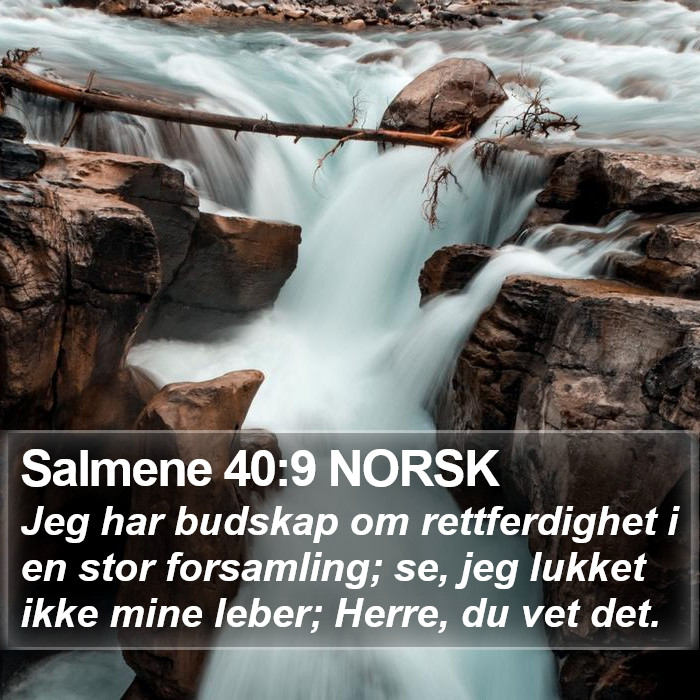 Salmene 40:9 NORSK Bible Study