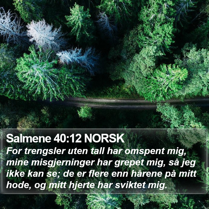 Salmene 40:12 NORSK Bible Study