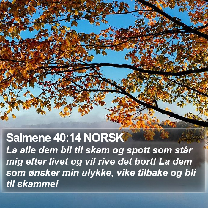 Salmene 40:14 NORSK Bible Study