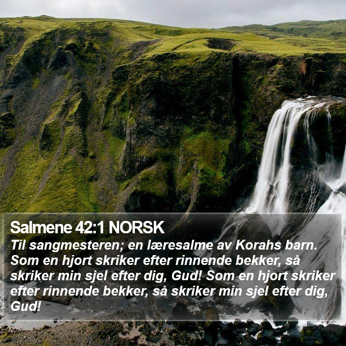 Salmene 42:1 NORSK Bible Study