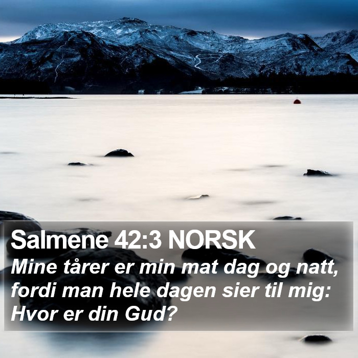 Salmene 42:3 NORSK Bible Study