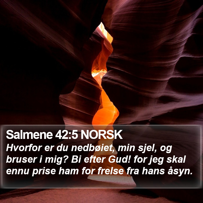 Salmene 42:5 NORSK Bible Study