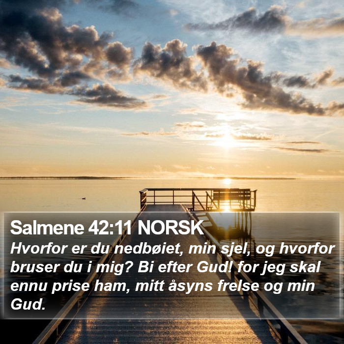 Salmene 42:11 NORSK Bible Study