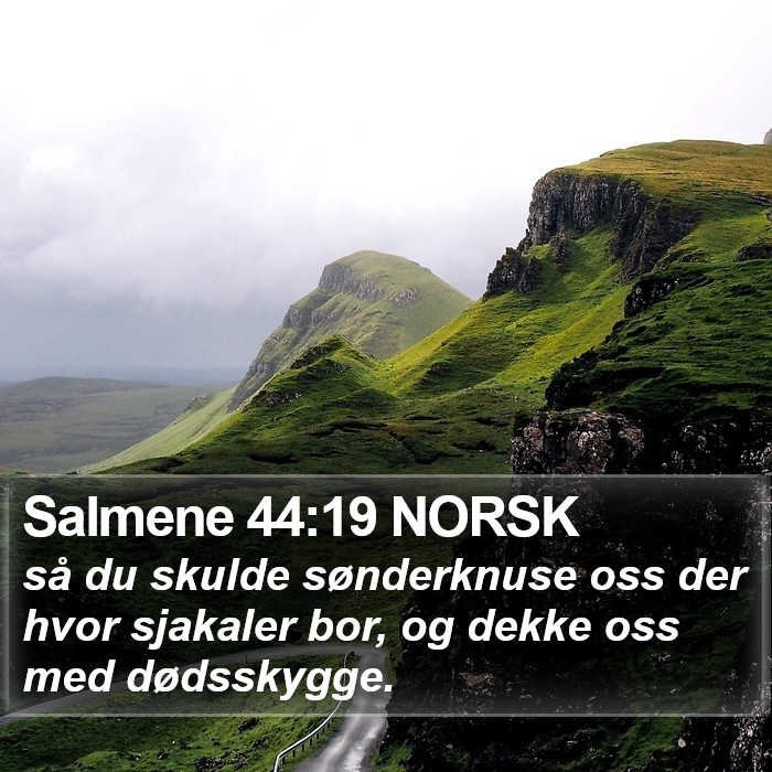 Salmene 44:19 NORSK Bible Study