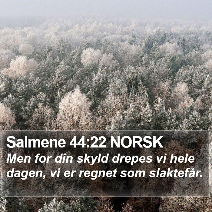 Salmene 44:22 NORSK Bible Study
