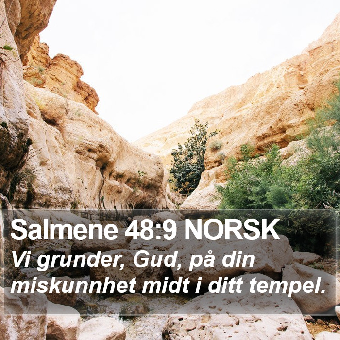 Salmene 48:9 NORSK Bible Study