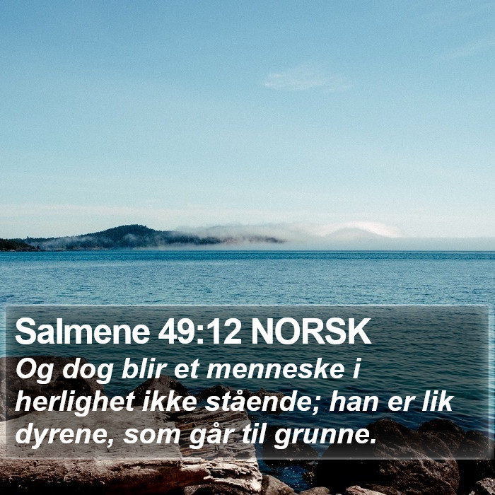 Salmene 49:12 NORSK Bible Study