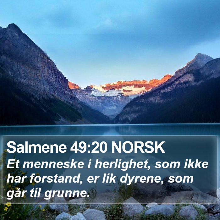 Salmene 49:20 NORSK Bible Study
