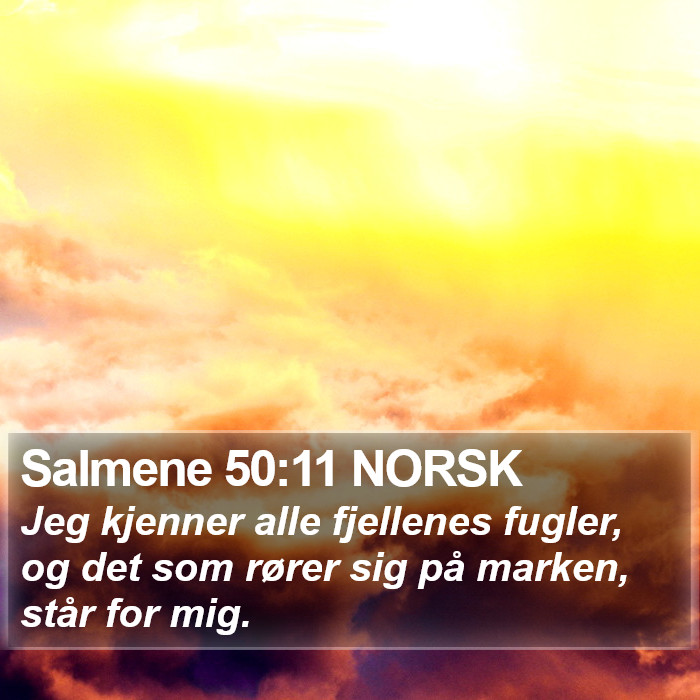 Salmene 50:11 NORSK Bible Study