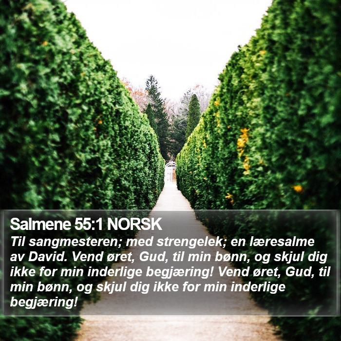 Salmene 55:1 NORSK Bible Study