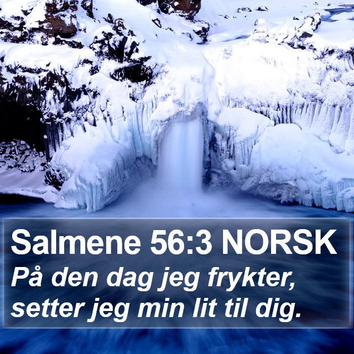 Salmene 56:3 NORSK Bible Study