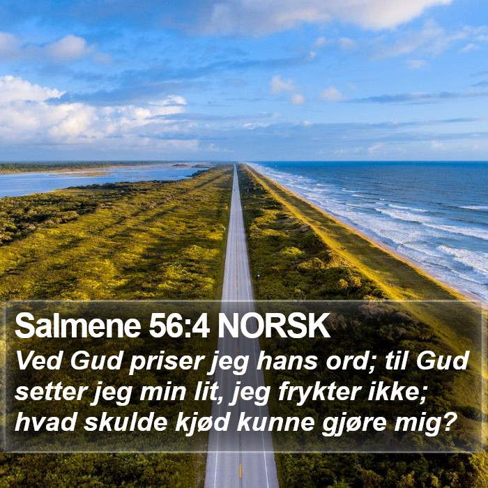 Salmene 56:4 NORSK Bible Study