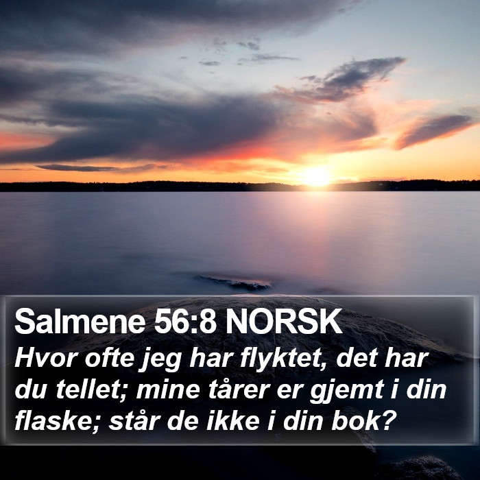 Salmene 56:8 NORSK Bible Study