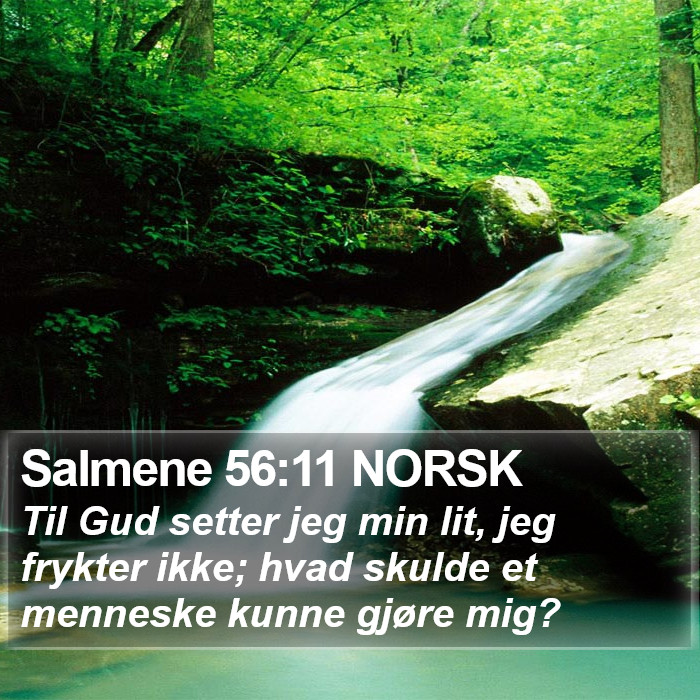 Salmene 56:11 NORSK Bible Study